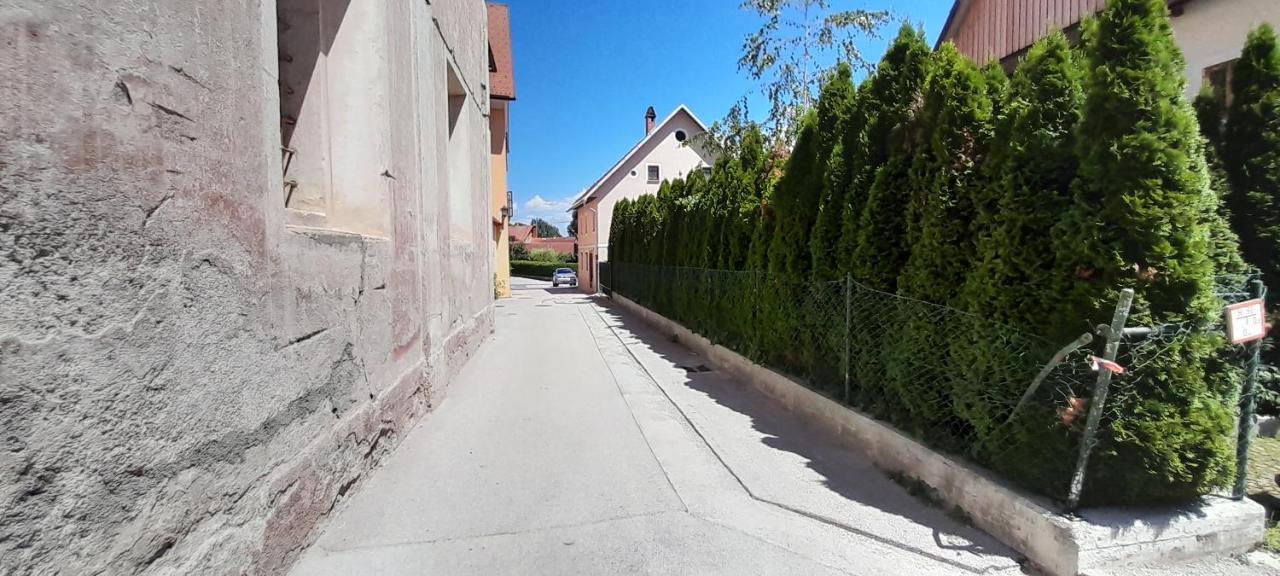 Apartment Slovan Škofja Loka エクステリア 写真